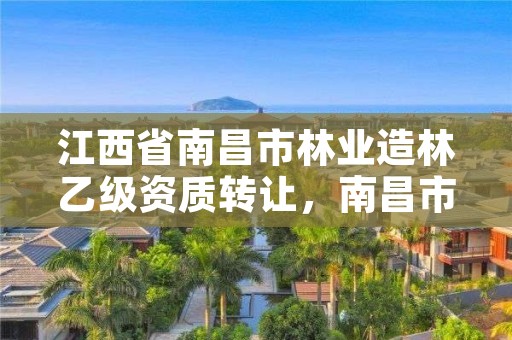 江西省南昌市林业造林乙级资质转让，南昌市林业投资发展有限公司