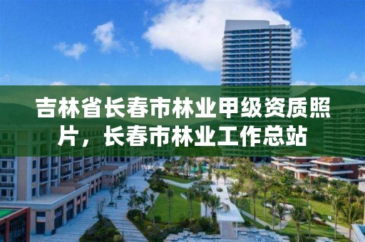 吉林省长春市林业甲级资质照片，长春市林业工作总站