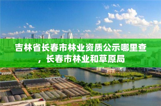 吉林省长春市林业资质公示哪里查，长春市林业和草原局