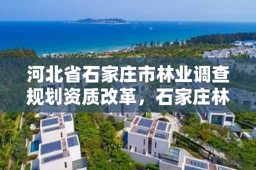 河北省石家庄市林业调查规划资质改革，石家庄林业厅