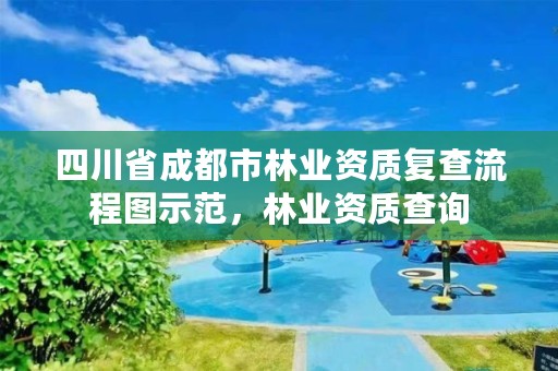 四川省成都市林业资质复查流程图示范，林业资质查询