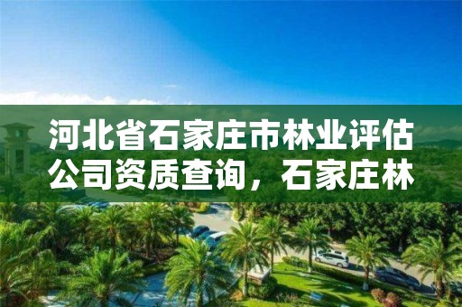 河北省石家庄市林业评估公司资质查询，石家庄林业厅