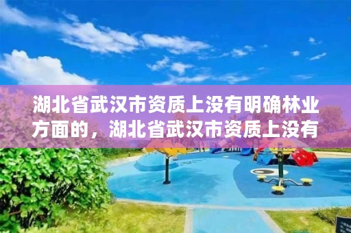 湖北省武汉市资质上没有明确林业方面的，湖北省武汉市资质上没有明确林业方面的公司