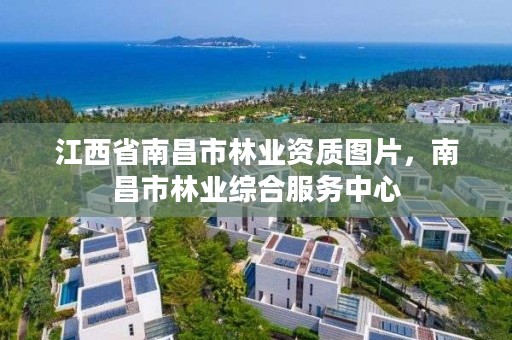 江西省南昌市林业资质图片，南昌市林业综合服务中心