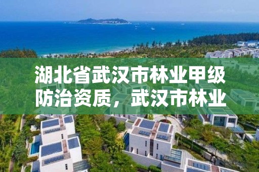 湖北省武汉市林业甲级防治资质，武汉市林业集团公司官网