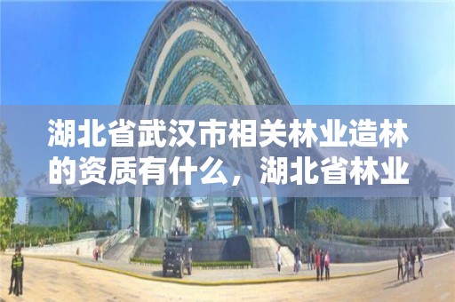 湖北省武汉市相关林业造林的资质有什么，湖北省林业厅造林处