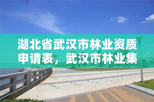 湖北省武汉市林业资质申请表，武汉市林业集团有限公司