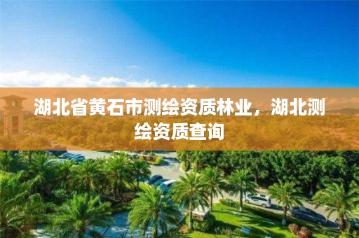 湖北省黄石市测绘资质林业，湖北测绘资质查询