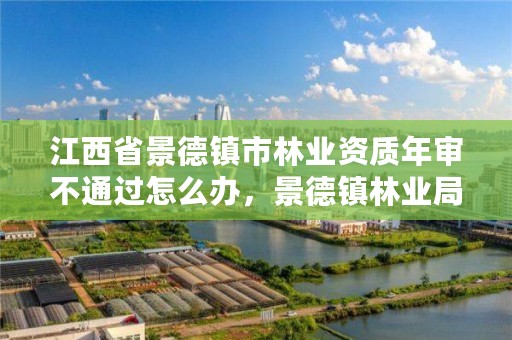 江西省景德镇市林业资质年审不通过怎么办，景德镇林业局电话