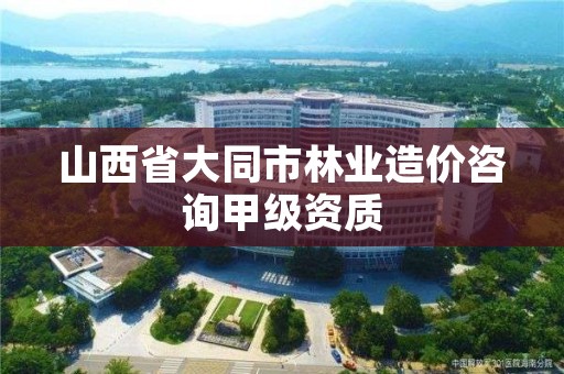 山西省大同市林业造价咨询甲级资质