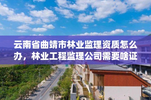 云南省曲靖市林业监理资质怎么办，林业工程监理公司需要啥证