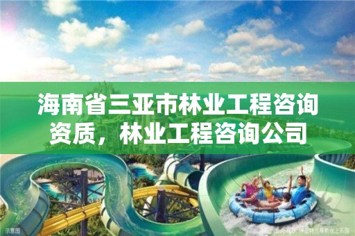 海南省三亚市林业工程咨询资质，林业工程咨询公司