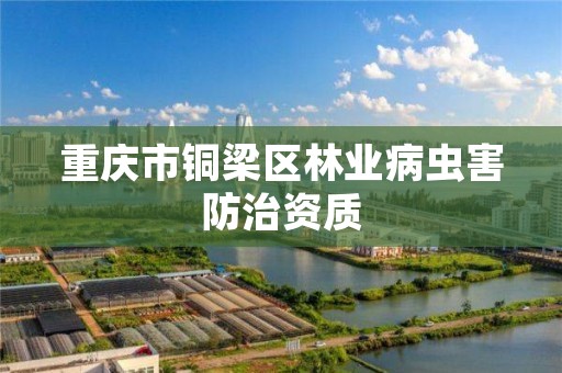 重庆市铜梁区林业病虫害防治资质