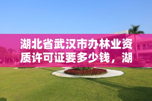 湖北省武汉市办林业资质许可证要多少钱，湖北省武汉市办林业资质许可证要多少钱