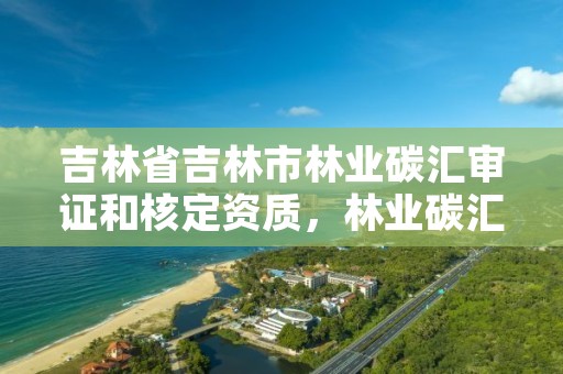 吉林省吉林市林业碳汇审证和核定资质，林业碳汇项目的申请主体包含哪些