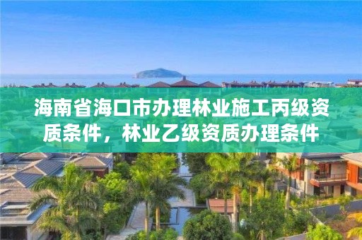 海南省海口市办理林业施工丙级资质条件，林业乙级资质办理条件