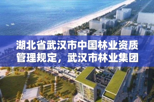 湖北省武汉市中国林业资质管理规定，武汉市林业集团有限公司