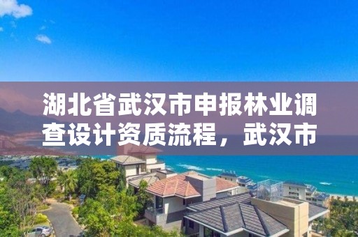 湖北省武汉市申报林业调查设计资质流程，武汉市林业调查规划设计院怎么样