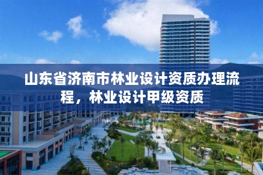 山东省济南市林业设计资质办理流程，林业设计甲级资质