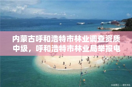 内蒙古呼和浩特市林业调查资质中级，呼和浩特市林业局举报电话