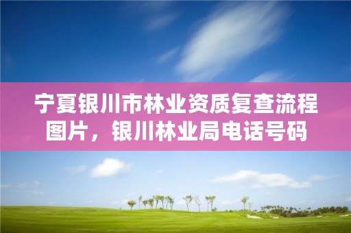 宁夏银川市林业资质复查流程图片，银川林业局电话号码