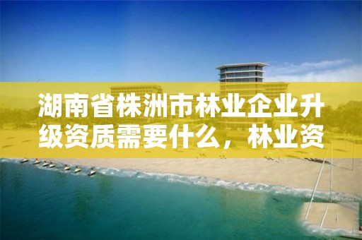 湖南省株洲市林业企业升级资质需要什么，林业资质申报材料