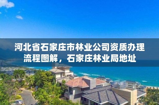 河北省石家庄市林业公司资质办理流程图解，石家庄林业局地址