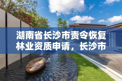 湖南省长沙市责令恢复林业资质申请，长沙市林业厅