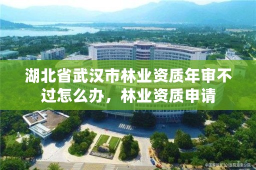 湖北省武汉市林业资质年审不过怎么办，林业资质申请