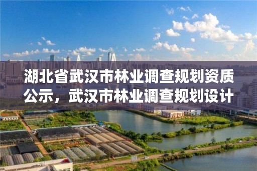 湖北省武汉市林业调查规划资质公示，武汉市林业调查规划设计院怎么样