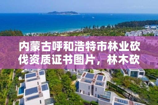 内蒙古呼和浩特市林业砍伐资质证书图片，林木砍伐招标