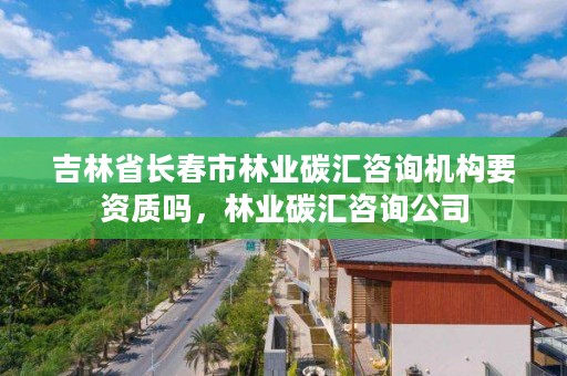 吉林省长春市林业碳汇咨询机构要资质吗，林业碳汇咨询公司