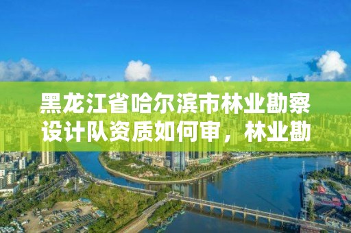 黑龙江省哈尔滨市林业勘察设计队资质如何审，林业勘察设计资质业务范围