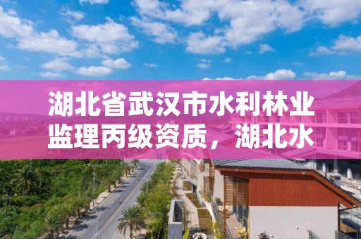 湖北省武汉市水利林业监理丙级资质，湖北水利监理工程师招聘