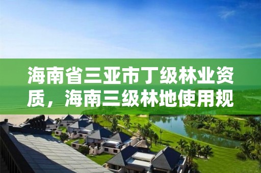 海南省三亚市丁级林业资质，海南三级林地使用规定