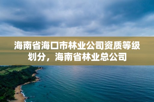 海南省海口市林业公司资质等级划分，海南省林业总公司