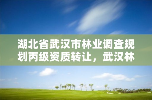 湖北省武汉市林业调查规划丙级资质转让，武汉林业厅