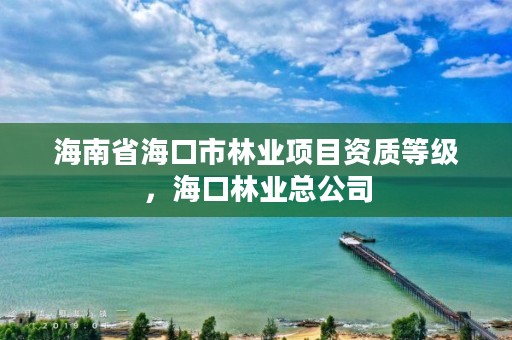 海南省海口市林业项目资质等级，海口林业总公司