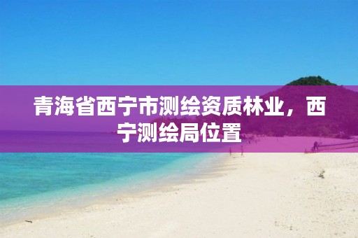 青海省西宁市测绘资质林业，西宁测绘局位置