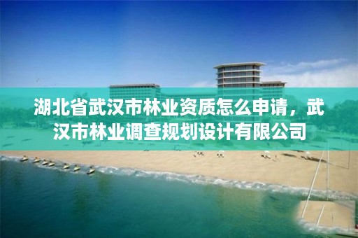 湖北省武汉市林业资质怎么申请，武汉市林业调查规划设计有限公司