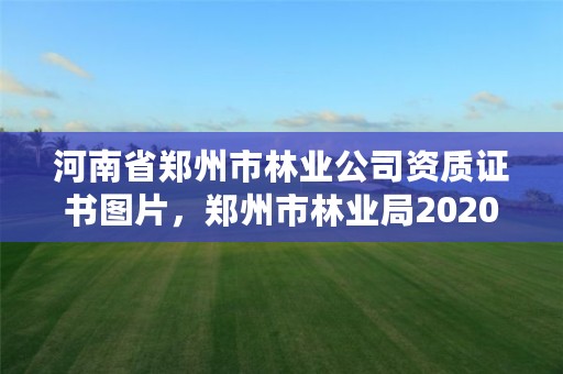 河南省郑州市林业公司资质证书图片，郑州市林业局2020年林业产业项目