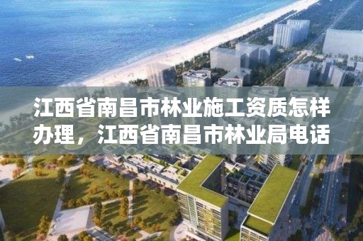 江西省南昌市林业施工资质怎样办理，江西省南昌市林业局电话