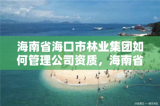 海南省海口市林业集团如何管理公司资质，海南省海口市林业集团如何管理公司资质