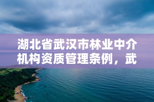 湖北省武汉市林业中介机构资质管理条例，武汉市林业集团公司官网