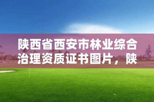 陕西省西安市林业综合治理资质证书图片，陕西省林业局资源处电话