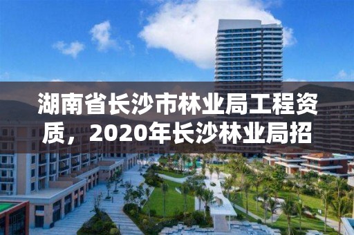 湖南省长沙市林业局工程资质，2020年长沙林业局招聘公告