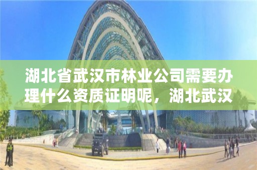 湖北省武汉市林业公司需要办理什么资质证明呢，湖北武汉林业局电话号码