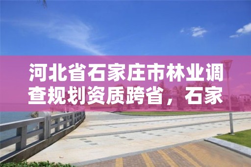 河北省石家庄市林业调查规划资质跨省，石家庄林业局招标公告