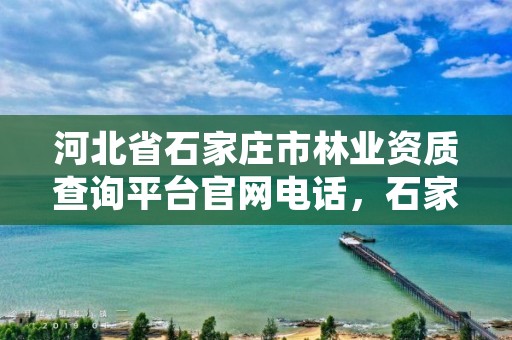 河北省石家庄市林业资质查询平台官网电话，石家庄林业局举报电话