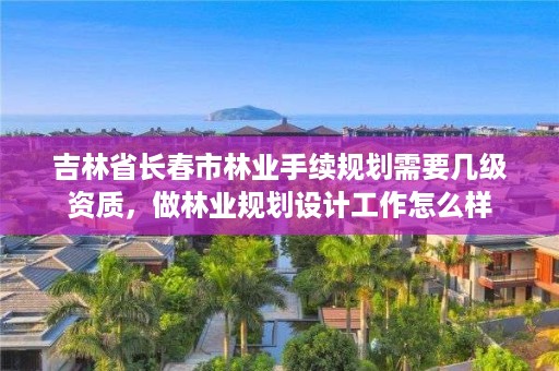 吉林省长春市林业手续规划需要几级资质，做林业规划设计工作怎么样